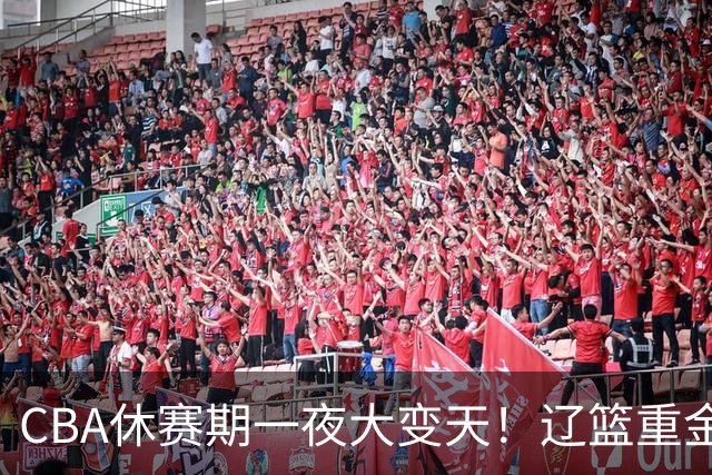 CBA休赛期一夜大变天！辽篮重金加入布朗抢夺大战，胡金秋报价虚高，最终或将有价无市无法转会
